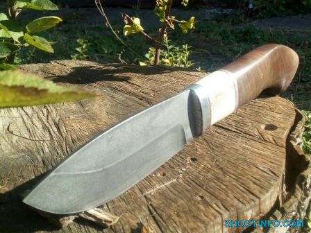 IMG_20181010_212309_473 IMG_20181010_212309_473