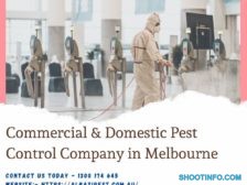 Commercial & Domestic Pest Control Company in Melbourne