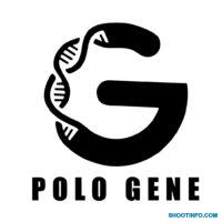 Polo Gene