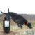 TR - dog® Houndmate® 100 hunting dog tracking and training system - Изображение3