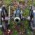Classic Muzzle-Loading Cannons - Image 1