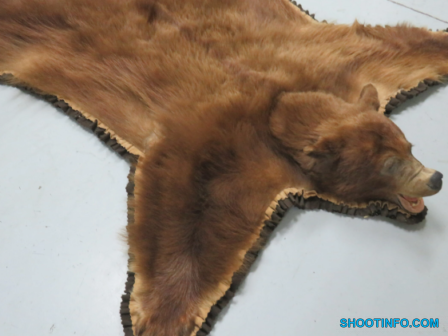 Bear Skin Rug..1734360954 Bear Skin Rug..1734360954