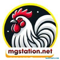 ĐÁ GÀ TRỰC TIẾP