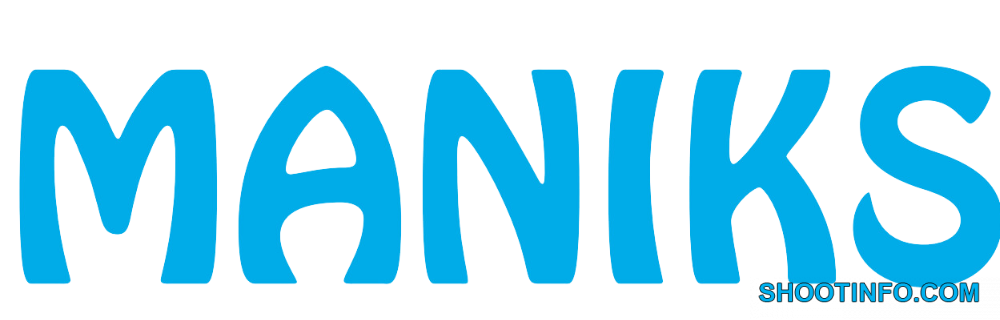 Maniks Valve Manufaturer