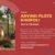 Buy Residential Plots at Arvind Plots Khopoli – Smart Choice Buy Residential Plots at Arvind Plots Khopoli – Smart Choice