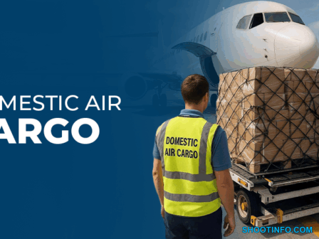 domestic air cargo1757315808 domestic air cargo1757315808