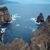 Explore New Zealand: Unforgettable Tours & Adventure Packages - Изображение1