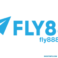 fly88 8co