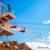 Jebel Jais Zipline Tickets - World's Longest Zipline Jebel Jais Zipline Tickets - World's Longest Zipline